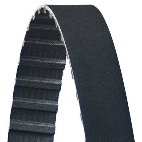 [255L3800SL] CUREA DE DISTRIBUTIE SYNCHRO-COG