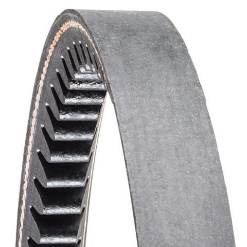 [AX23] CUREA GOLD RIBBON COG-BELT