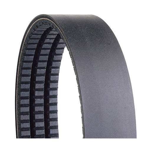 [RDL210-3] GOLD RIBBON BAND BELT